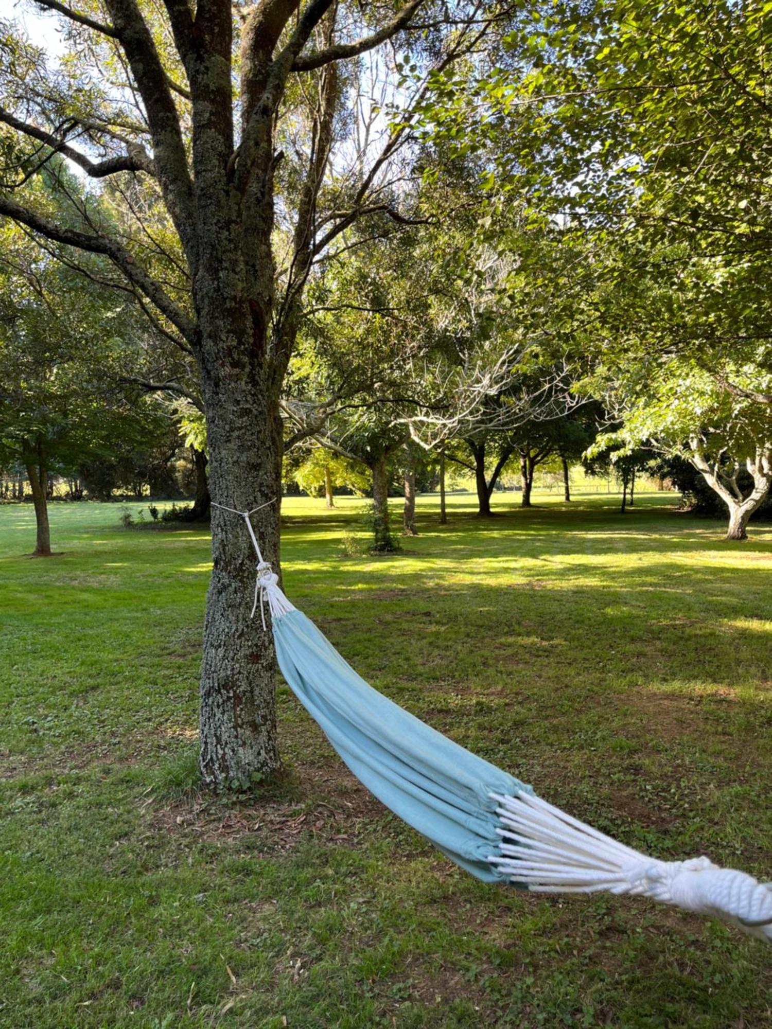 Villa Pond Road Park - Raglan Exterior foto